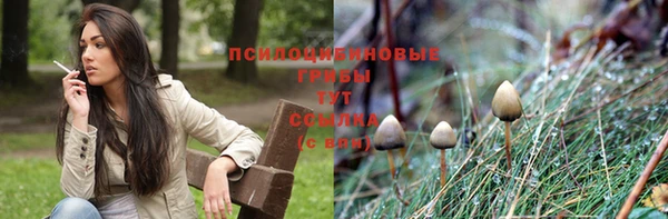 а пвп мука Киренск