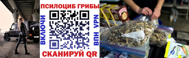 Галлюциногенные грибы Psilocybe  Купить  Лабытнанги 